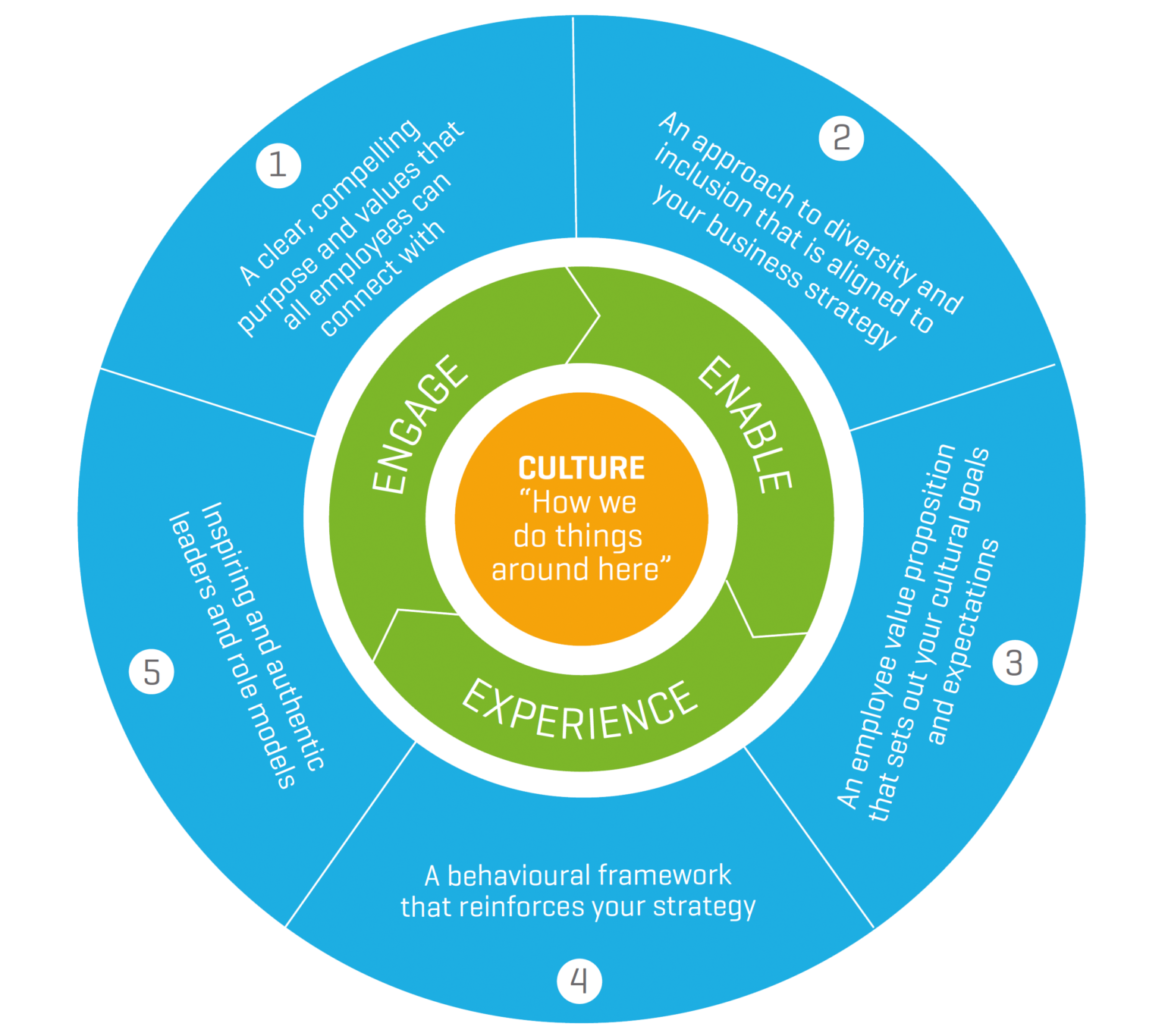 Fostering and promoting a diverse culture | Five key considerations ...